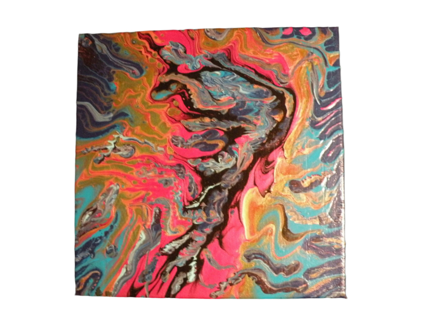 11x11" Exotic dirty pour original acrylic painting