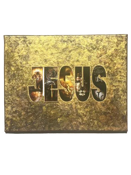 11x14" 283 - Jesus Original Acrylic Painting